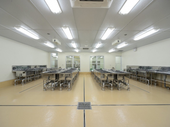 cswZH